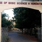 College of Basic Science and Humanities