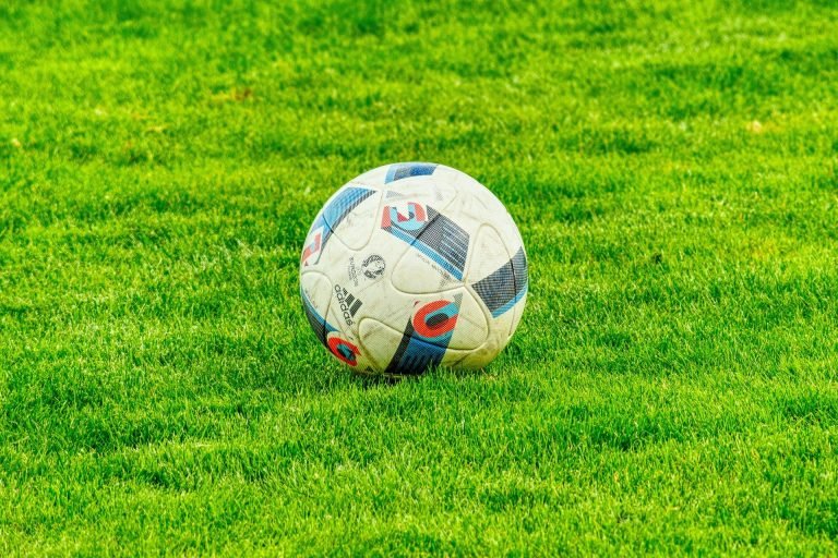 FIFA World Cup 2022