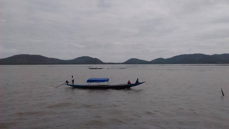 Bhitarkanika to Simlipal: Odisha’s National Parks and forest reserves