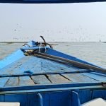 Chilika Lake