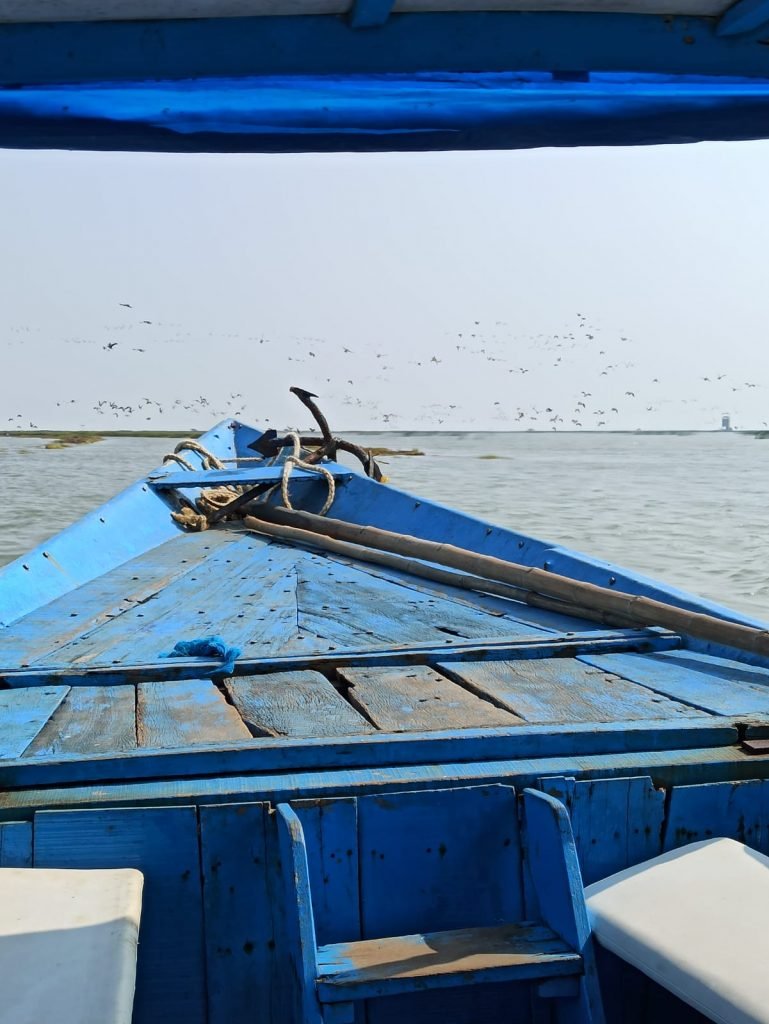 Chilika Lake