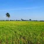 PM-Kisan Scheme