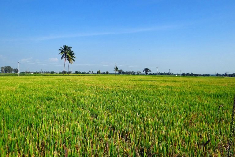 PM-Kisan Scheme