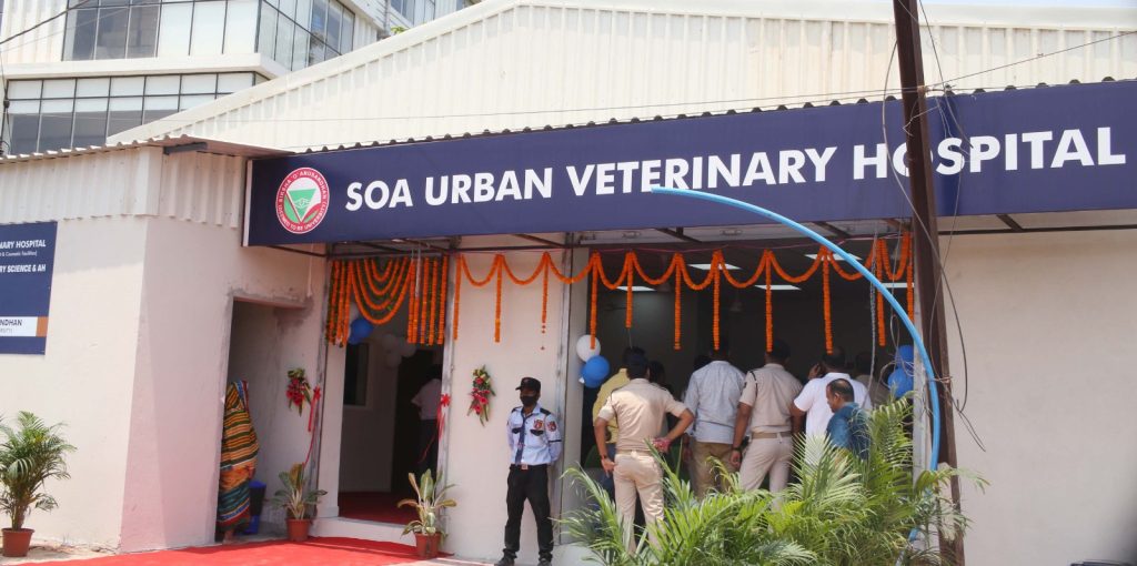 Urban Veterinary Hospital