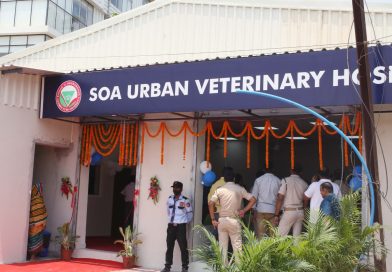 Urban Veterinary Hospital