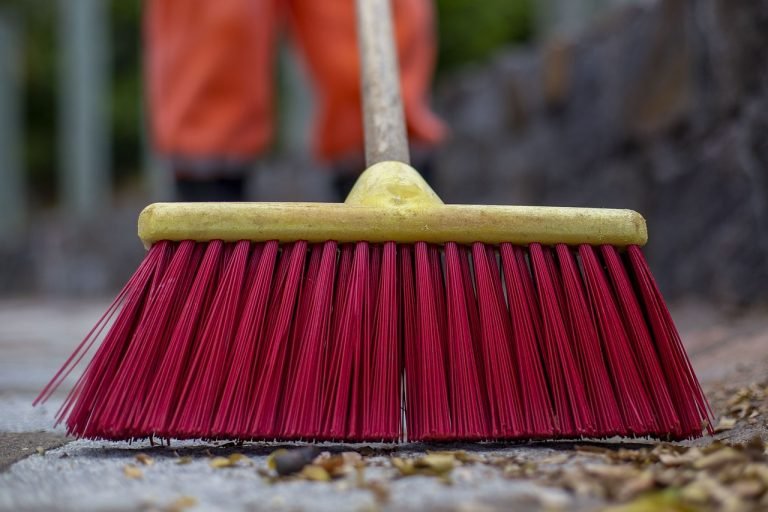 Swachh Survekshan Awards 2023: Indore and Surat cleanest cities in India