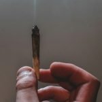 cannabis