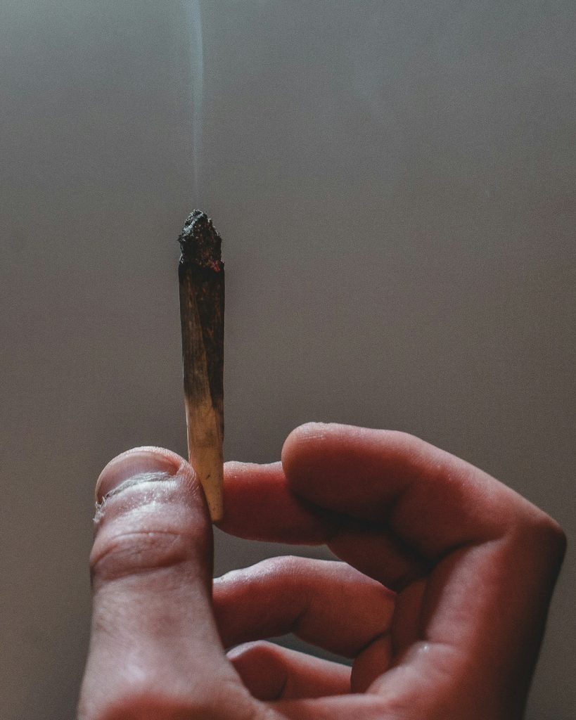 cannabis