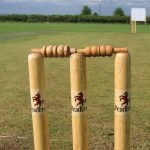 cricket stock