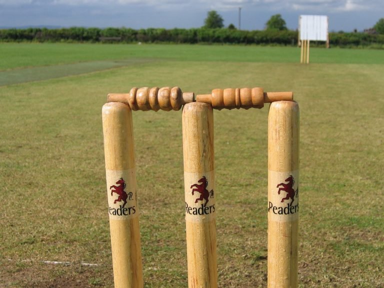cricket stock