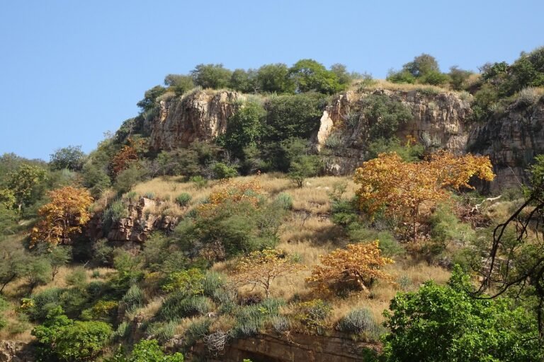 aravalli