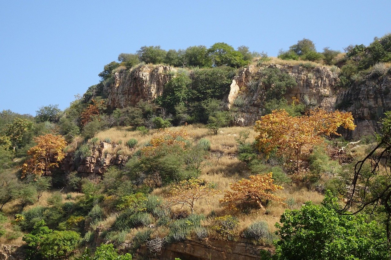aravalli