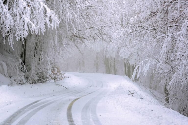 snowfall