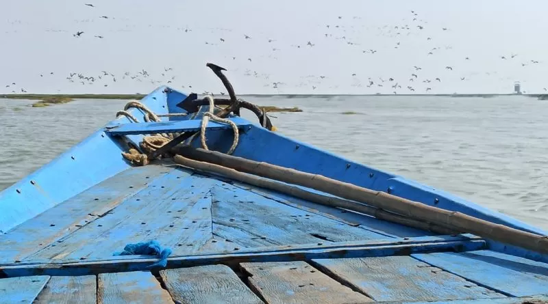 Chilika Lake