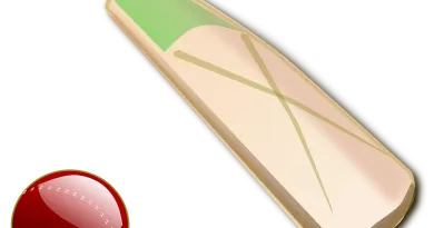 Women's T20 World Cup