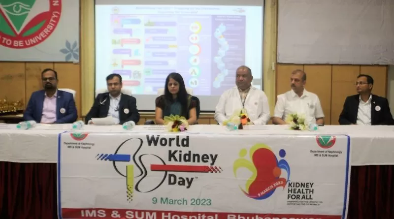 world kidney day