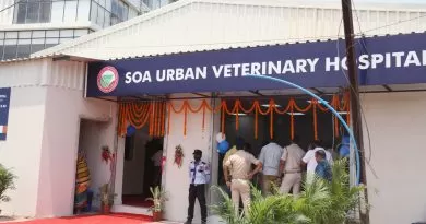 Urban Veterinary Hospital