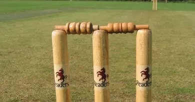 cricket stock