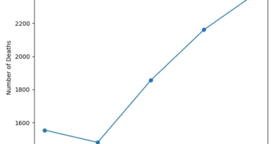 year_wise_pothole_deaths